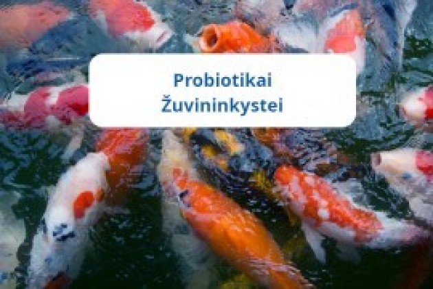 images/usersimages/admonita/probiotikai-zuvininkystei900.jpg