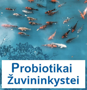Probiotikai žuvininkystei