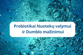 Dumblo kiekio mažinimas ir nuotekų valymas – Probiotikai Nuotekų valymui ir Dumblo mažinimui