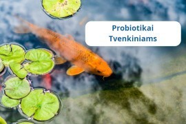 Probiotikai Tvenkiniams – efektyvus tvenkinių su žuvimis valymas nuo dumblių ir mikrobiologinės būklės gerinimas 